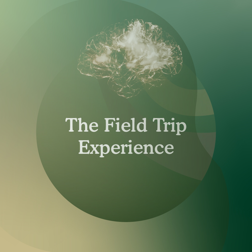 The Field Trip Experience